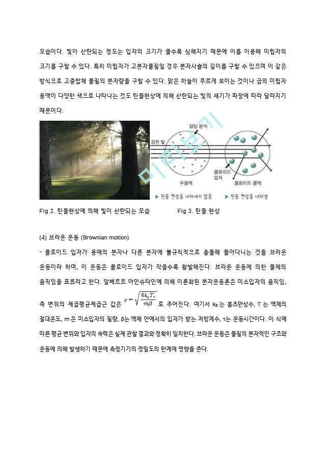 금나노와 은나노 입자의 합성 실험 예비레포트 [A＋].hwp